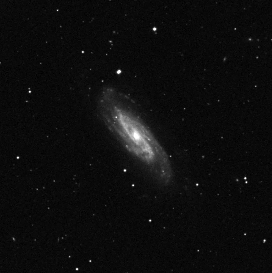 Imagem de referência (DSS2) de NGC 3198 — objeto ainda não capturado no observatório