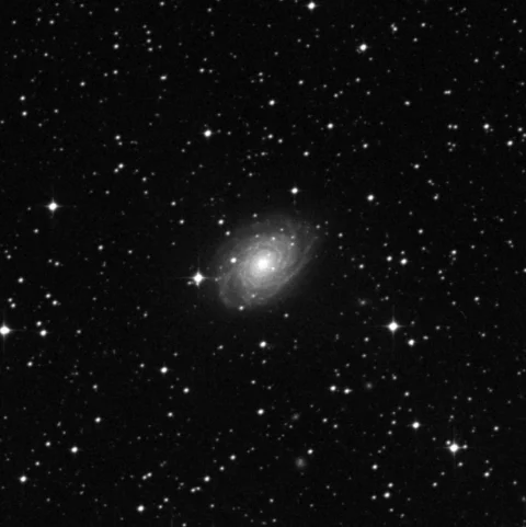 Imagem de referência (DSS2) de NGC 3223 — objeto ainda não capturado no observatório