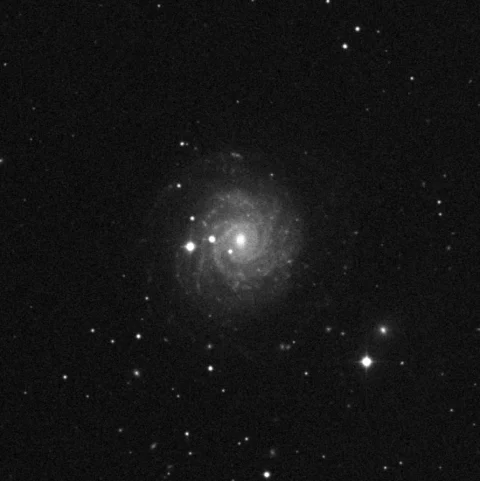 Imagem de referência (DSS2) de NGC 3344 — objeto ainda não capturado no observatório