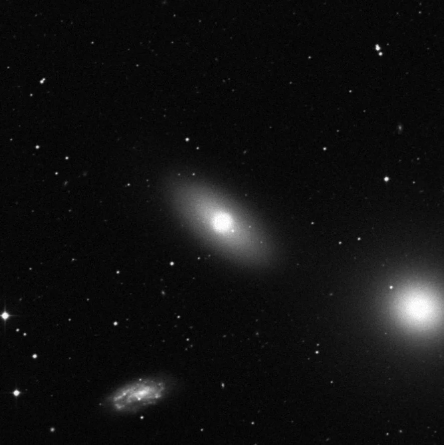 Imagem de referência (DSS2) de NGC 3384 — objeto ainda não capturado no observatório