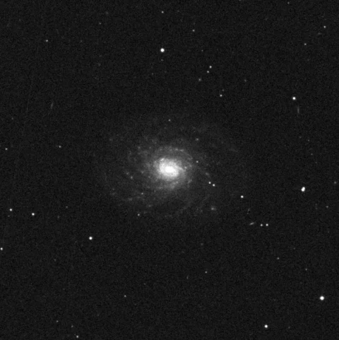 Imagem de referência (DSS2) de NGC 3486 — objeto ainda não capturado no observatório