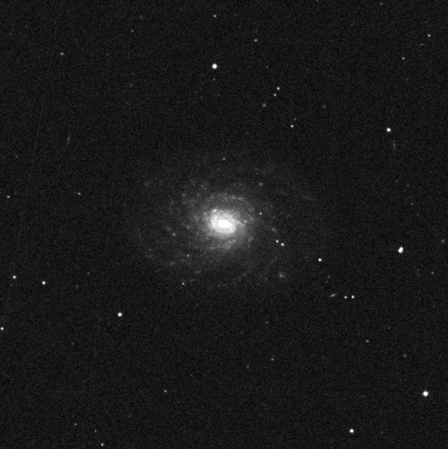 Imagem de referência (DSS2) de NGC 3486 — objeto ainda não capturado no observatório