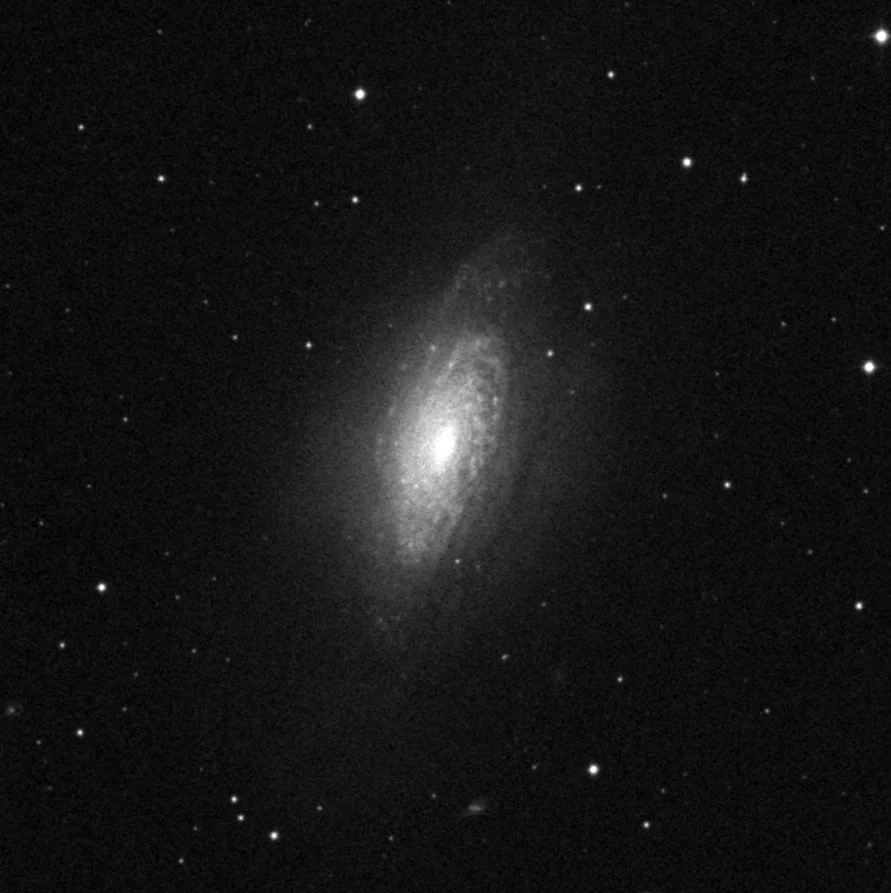 Imagem de referência (DSS2) de NGC 3521 — objeto ainda não capturado no observatório