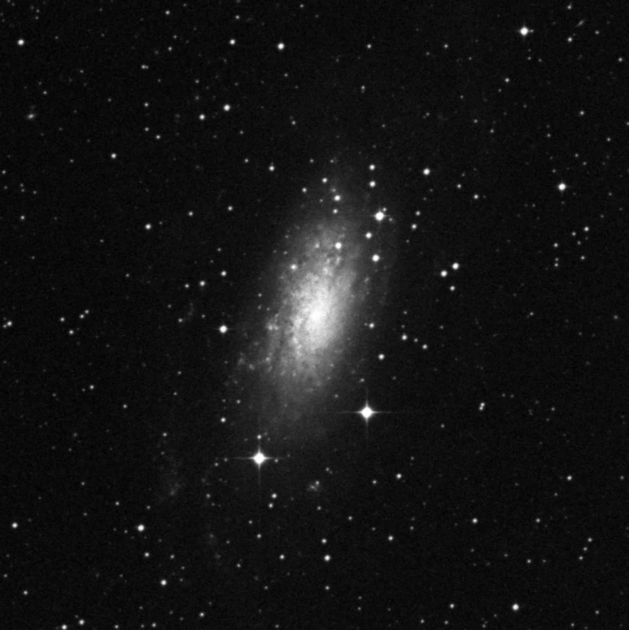Imagem de referência (DSS2) de NGC 3621 — objeto ainda não capturado no observatório