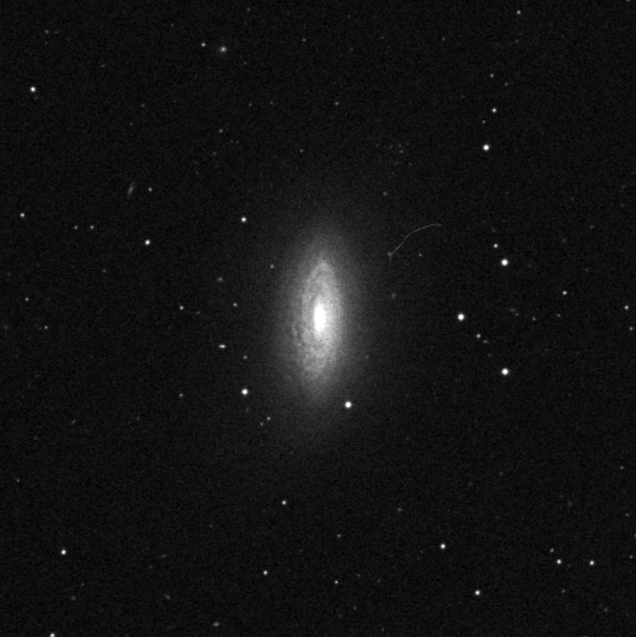 Imagem de referência (DSS2) de NGC 3675 — objeto ainda não capturado no observatório