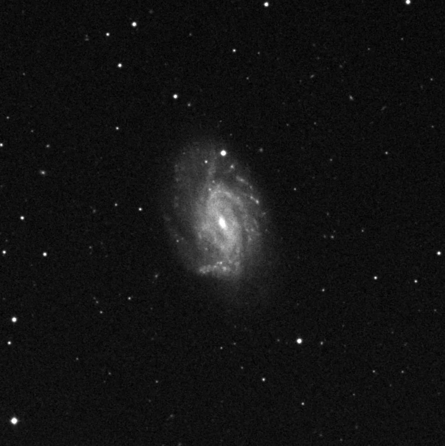 Imagem de referência (DSS2) de NGC 3726 — objeto ainda não capturado no observatório