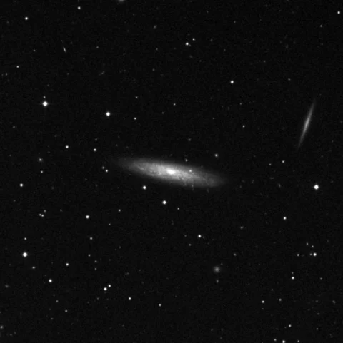 Imagem de referência (DSS2) de NGC 3917 — objeto ainda não capturado no observatório