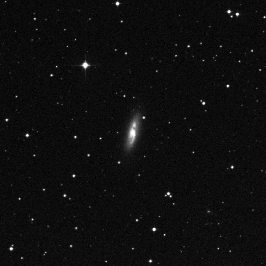 Imagem de referência (DSS2) de NGC 3955 — objeto ainda não capturado no observatório