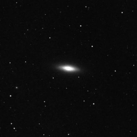 Imagem de referência (DSS2) de NGC 4036 — objeto ainda não capturado no observatório