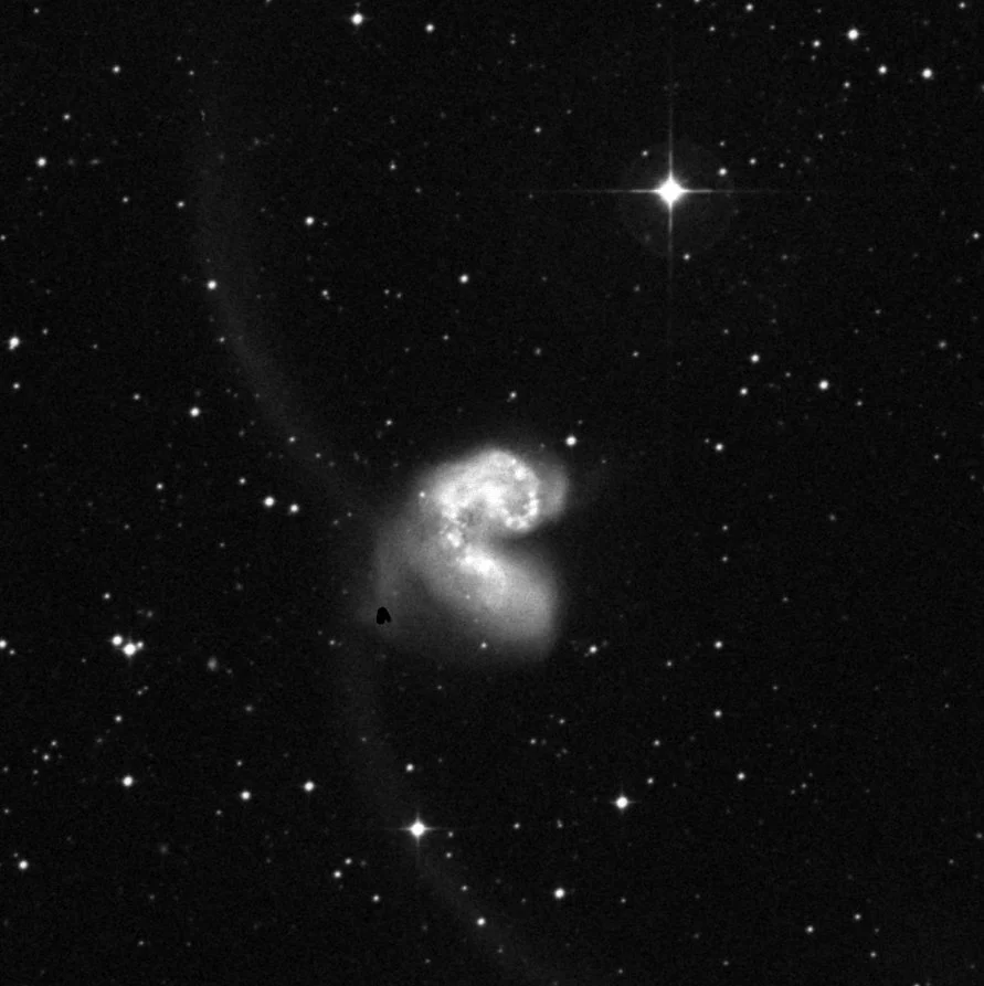 Imagem de referência (DSS2) de NGC 4038 — Galáxias Antena — objeto ainda não capturado no observatório
