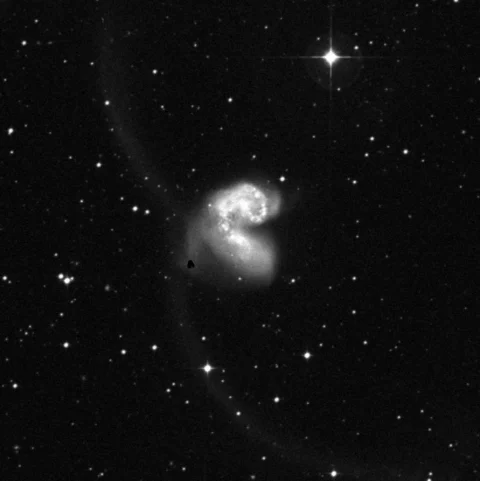 Imagem de referência (DSS2) de NGC 4039 — Antennae Galaxies — objeto ainda não capturado no observatório