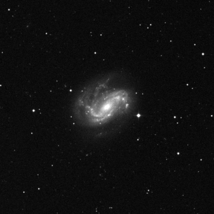 Imagem de referência (DSS2) de NGC 4051 — objeto ainda não capturado no observatório