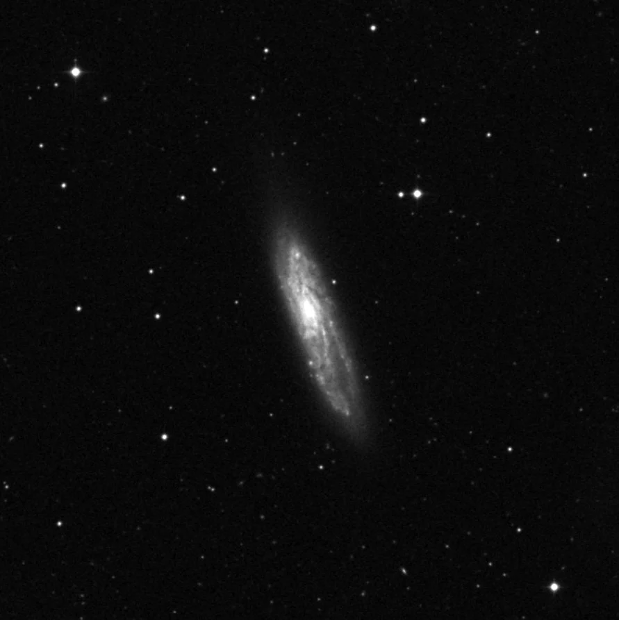 Imagem de referência (DSS2) de NGC 4096 — objeto ainda não capturado no observatório