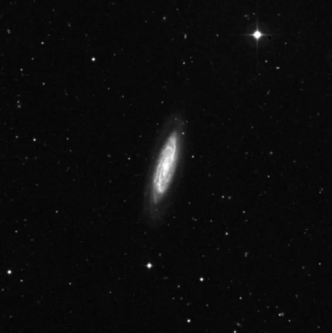 Imagem de referência (DSS2) de NGC 4100 — objeto ainda não capturado no observatório