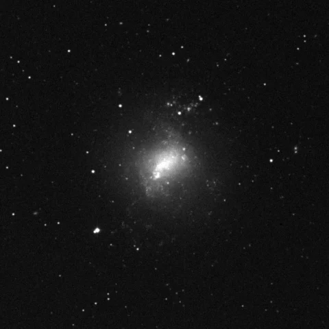 Imagem de referência (DSS2) de NGC 4214 — objeto ainda não capturado no observatório