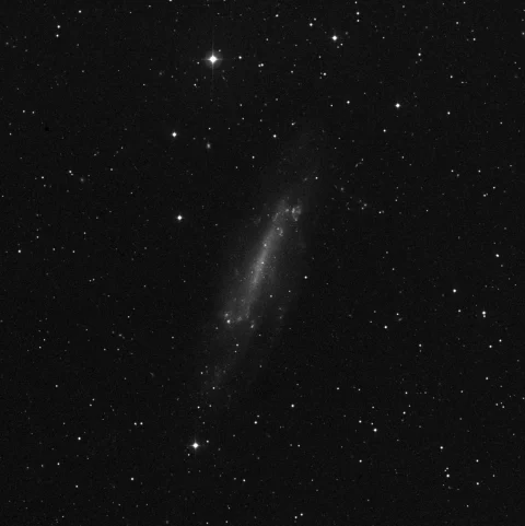 Imagem de referência (DSS2) de NGC 4236 — objeto ainda não capturado no observatório