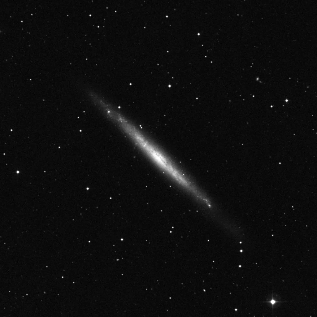 Imagem de referência (DSS2) de NGC 4244 — objeto ainda não capturado no observatório