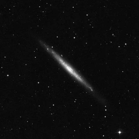 Imagem de referência (DSS2) de NGC 4244 — objeto ainda não capturado no observatório