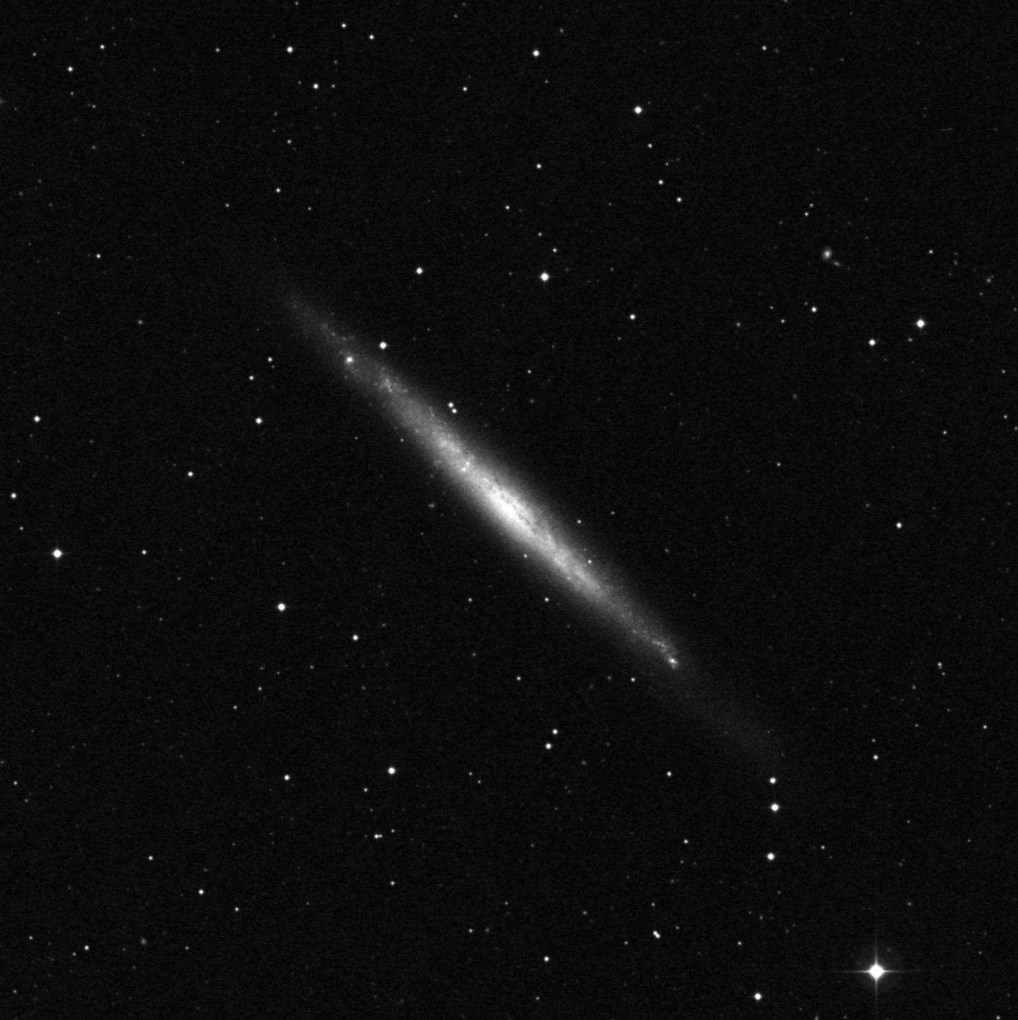 Imagem de referência (DSS2) de NGC 4244 — objeto ainda não capturado no observatório