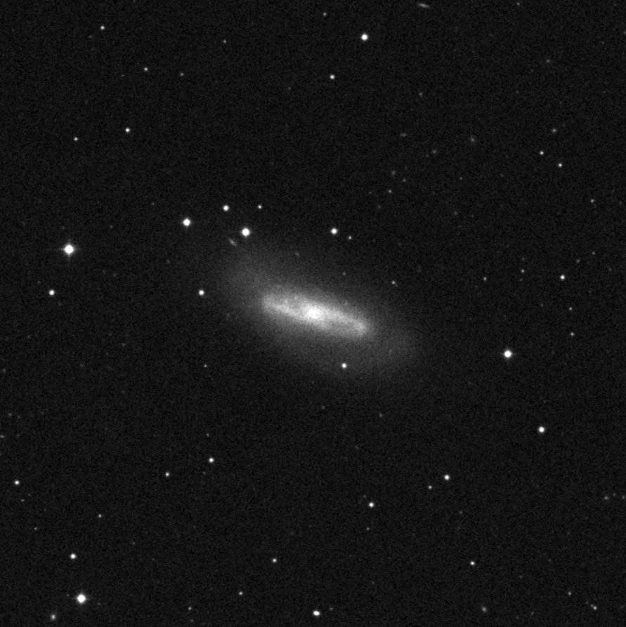 Imagem de referência (DSS2) de NGC 4293 — objeto ainda não capturado no observatório