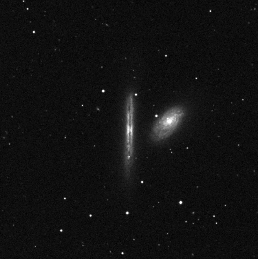 Imagem de referência (DSS2) de NGC 4302 — objeto ainda não capturado no observatório