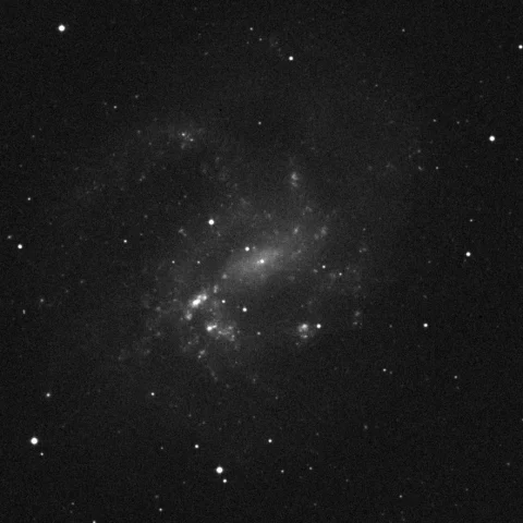 Imagem de referência (DSS2) de NGC 4395 — objeto ainda não capturado no observatório