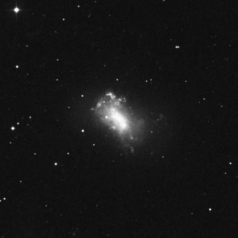 Imagem de referência (DSS2) de NGC 4449 — objeto ainda não capturado no observatório
