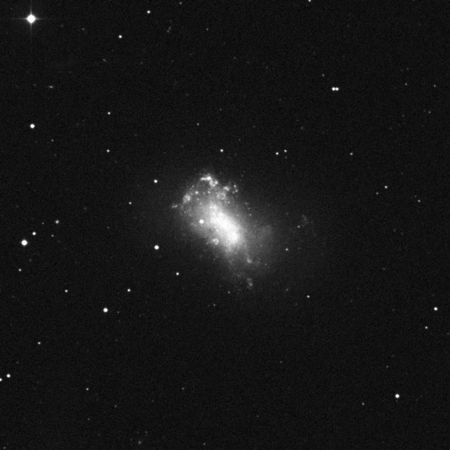 Imagem de referência (DSS2) de NGC 4449 — objeto ainda não capturado no observatório