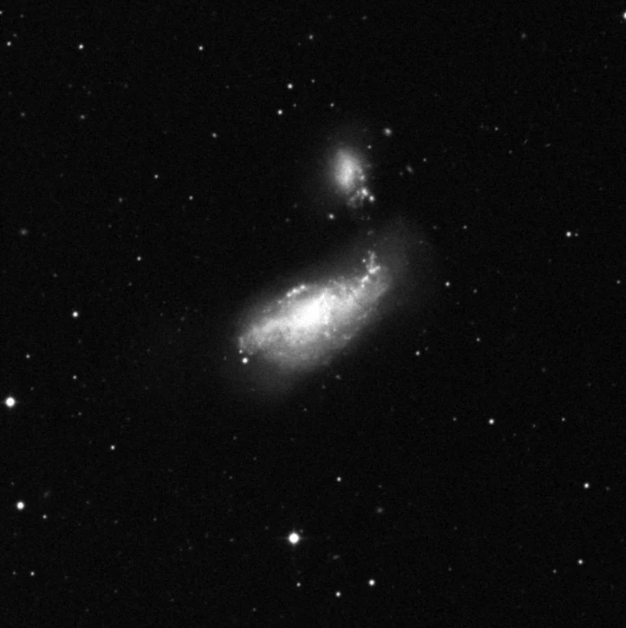 Imagem de referência (DSS2) de NGC 4490 — objeto ainda não capturado no observatório