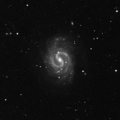 Imagem de referência (DSS2) de NGC 4535 — objeto ainda não capturado no observatório