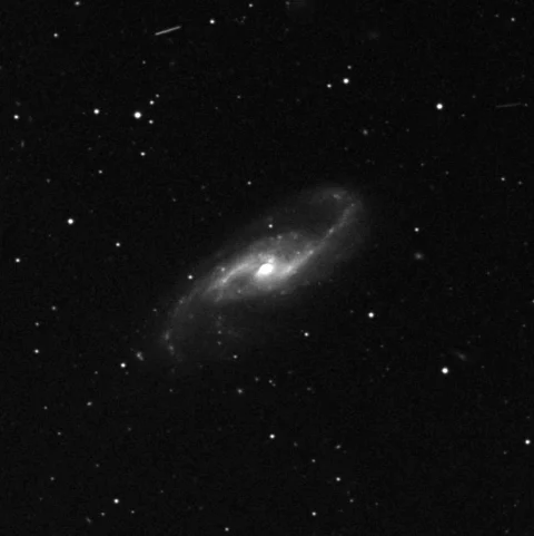 Imagem de referência (DSS2) de NGC 4536 — objeto ainda não capturado no observatório