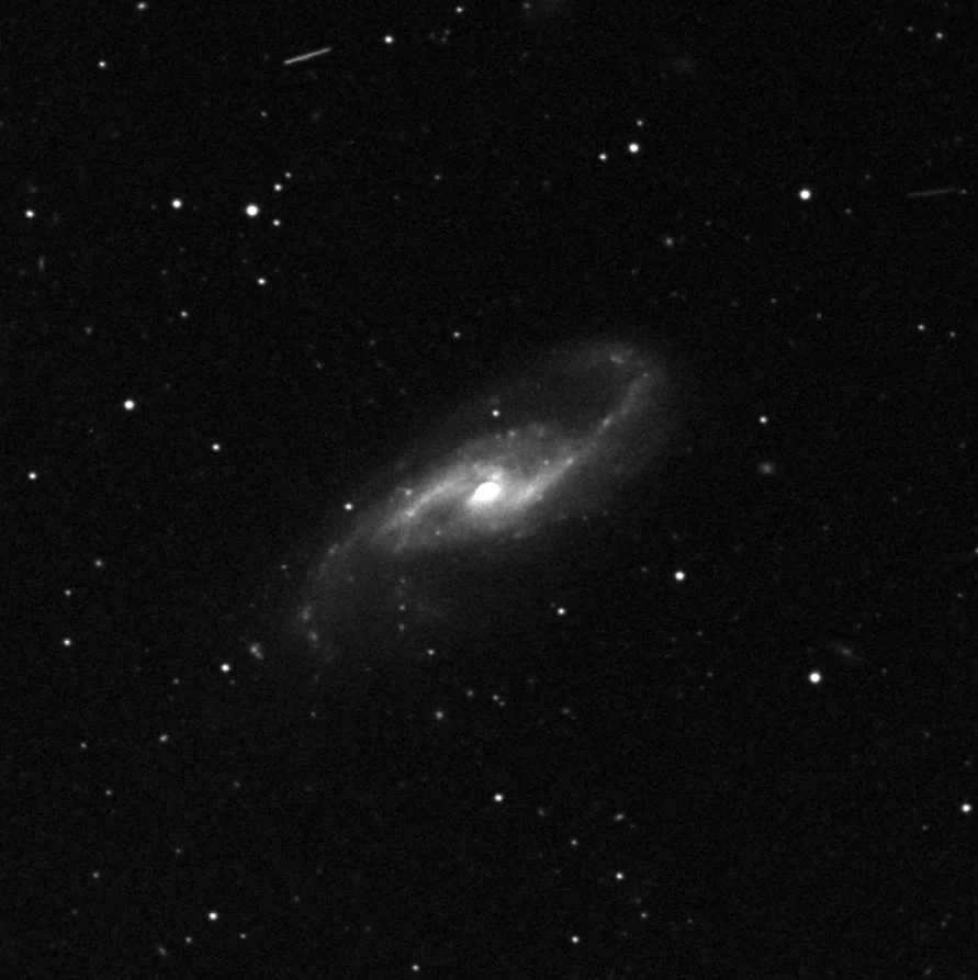 Imagem de referência (DSS2) de NGC 4536 — objeto ainda não capturado no observatório