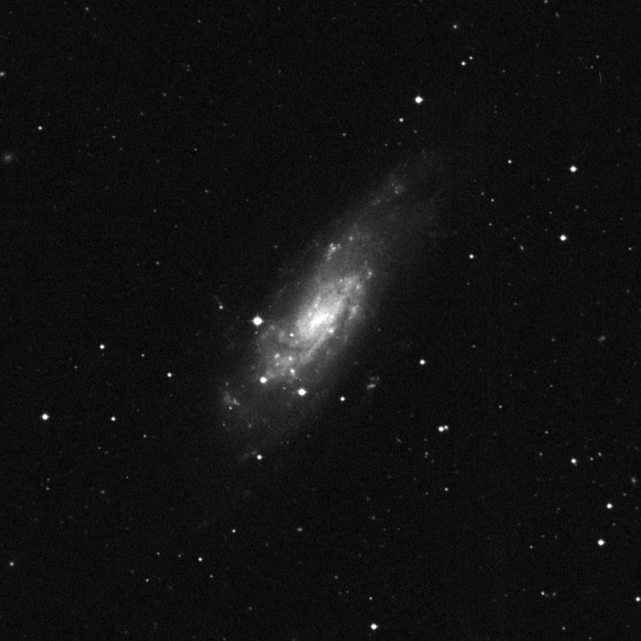 Imagem de referência (DSS2) de NGC 4559 — objeto ainda não capturado no observatório