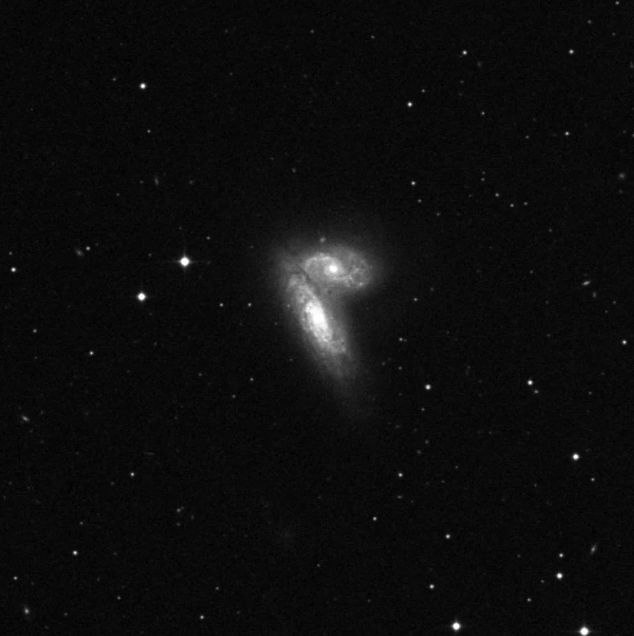 Imagem de referência (DSS2) de NGC 4568 — Butterfly Galaxies — objeto ainda não capturado no observatório