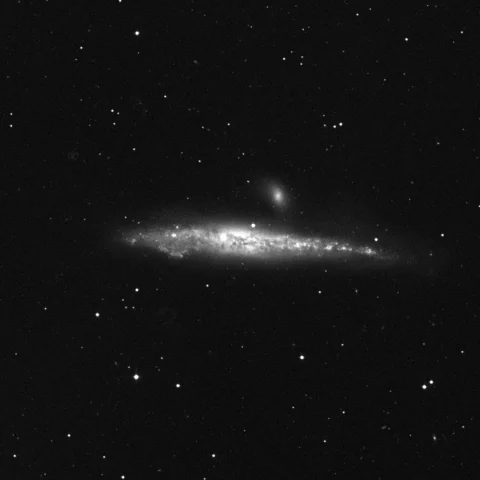 Imagem de referência (DSS2) de NGC 4631 — Galáxia da Baleia — objeto ainda não capturado no observatório