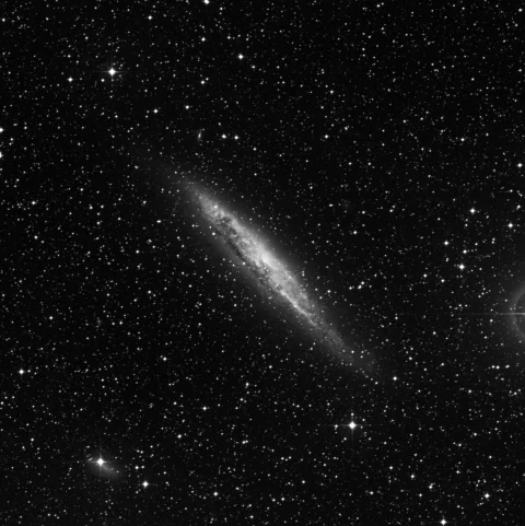 Imagem de referência (DSS2) de NGC 4945 — objeto ainda não capturado no observatório