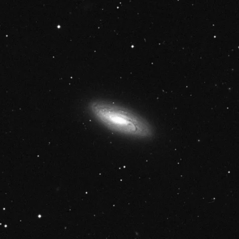 Imagem de referência (DSS2) de NGC 5005 — objeto ainda não capturado no observatório
