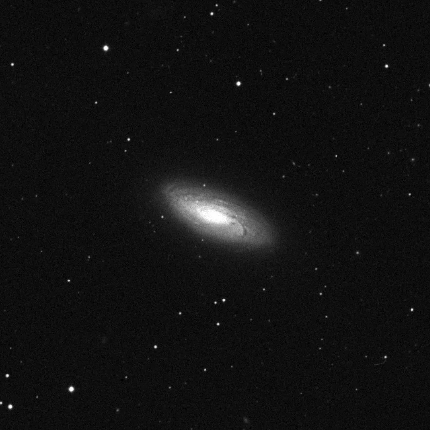 Imagem de referência (DSS2) de NGC 5005 — objeto ainda não capturado no observatório