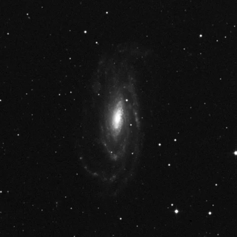 Imagem de referência (DSS2) de NGC 5033 — objeto ainda não capturado no observatório