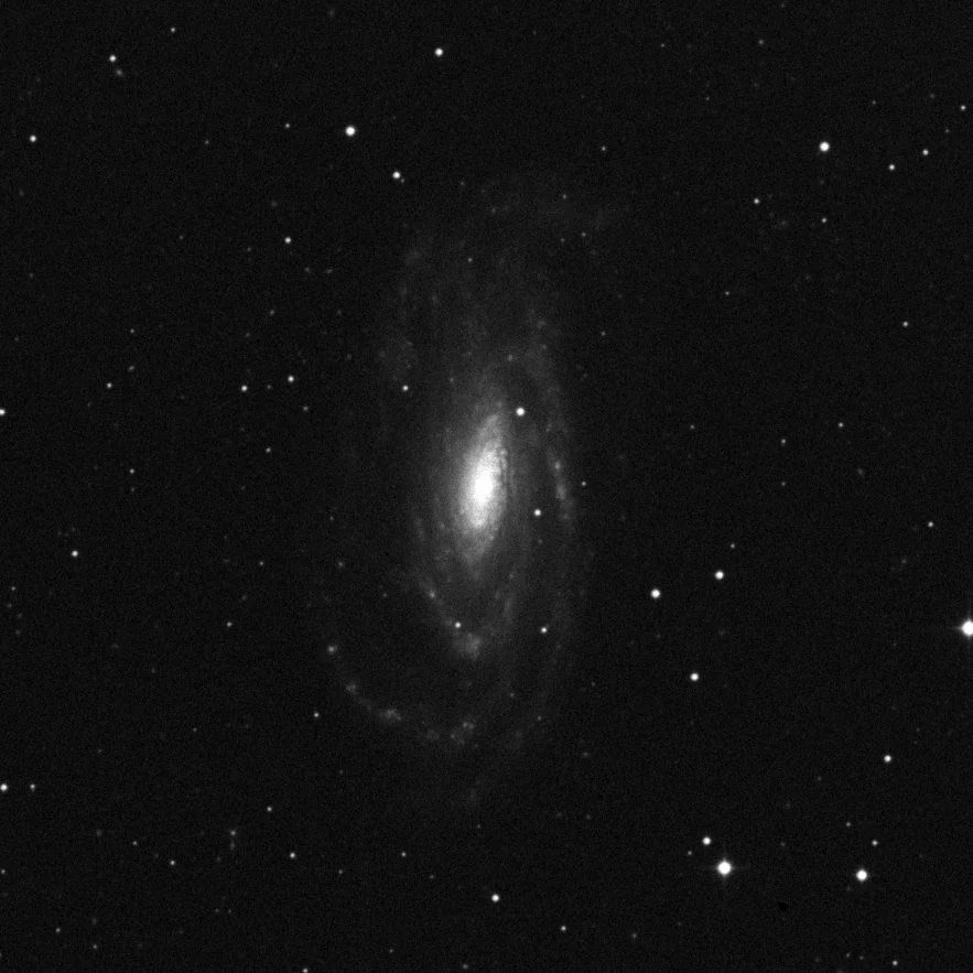Imagem de referência (DSS2) de NGC 5033 — objeto ainda não capturado no observatório