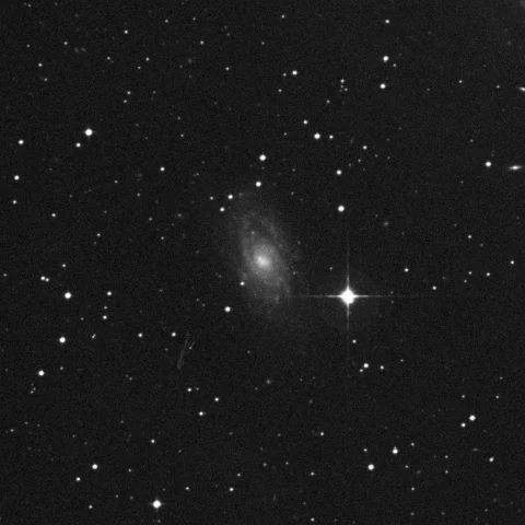 Imagem de referência (DSS2) de NGC 5042 — objeto ainda não capturado no observatório