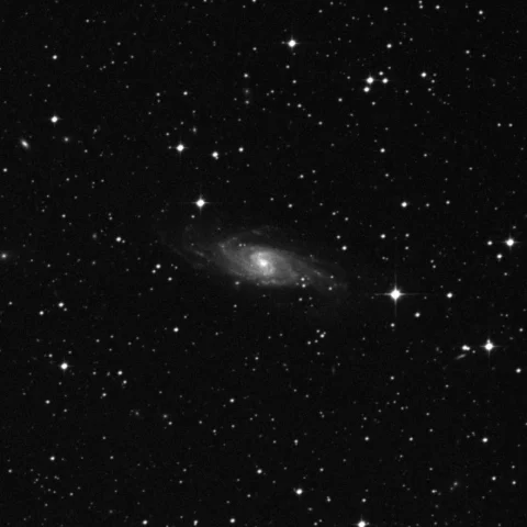 Imagem de referência (DSS2) de NGC 5161 — objeto ainda não capturado no observatório