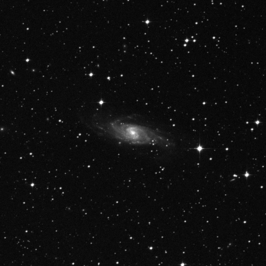 Imagem de referência (DSS2) de NGC 5161 — objeto ainda não capturado no observatório