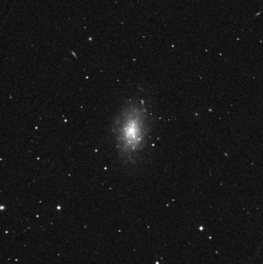 Imagem de referência (DSS2) de NGC 5204 — objeto ainda não capturado no observatório