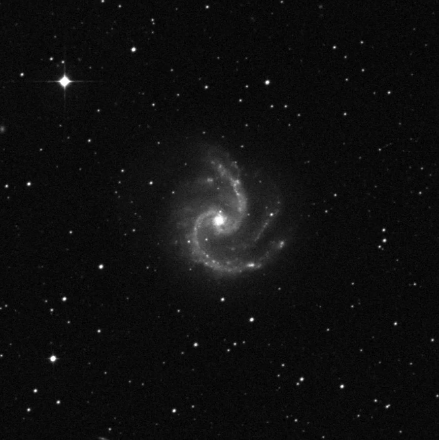 Imagem de referência (DSS2) de NGC 5247 — objeto ainda não capturado no observatório