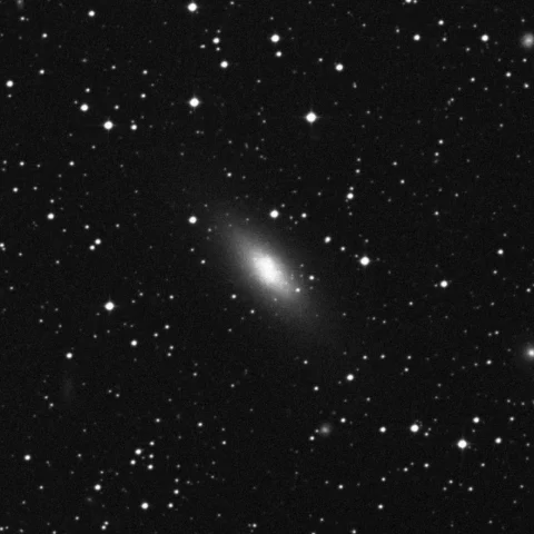 Imagem de referência (DSS2) de NGC 5253 — objeto ainda não capturado no observatório