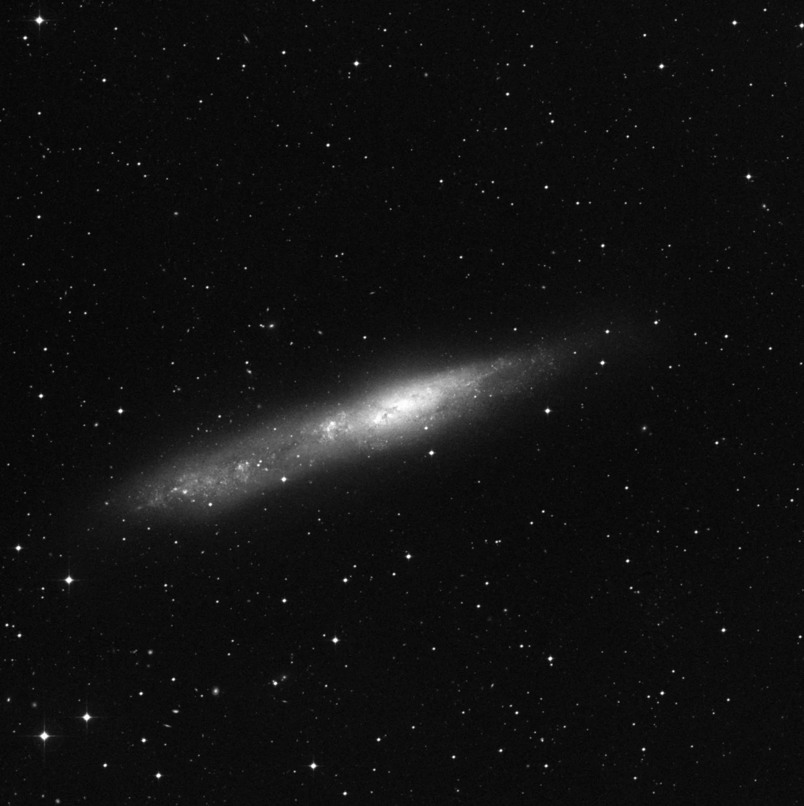 Imagem de referência (DSS2) de NGC 55 — objeto ainda não capturado no observatório