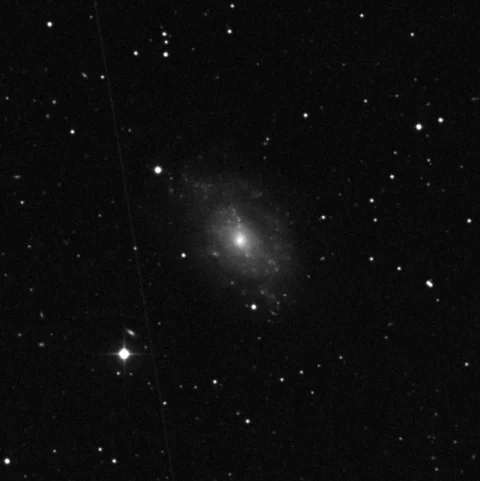 Imagem de referência (DSS2) de NGC 5585 — objeto ainda não capturado no observatório