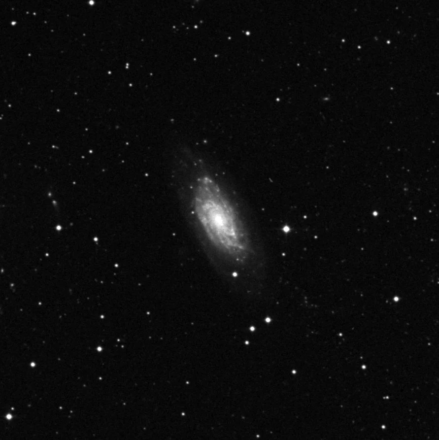 Imagem de referência (DSS2) de NGC 6015 — objeto ainda não capturado no observatório