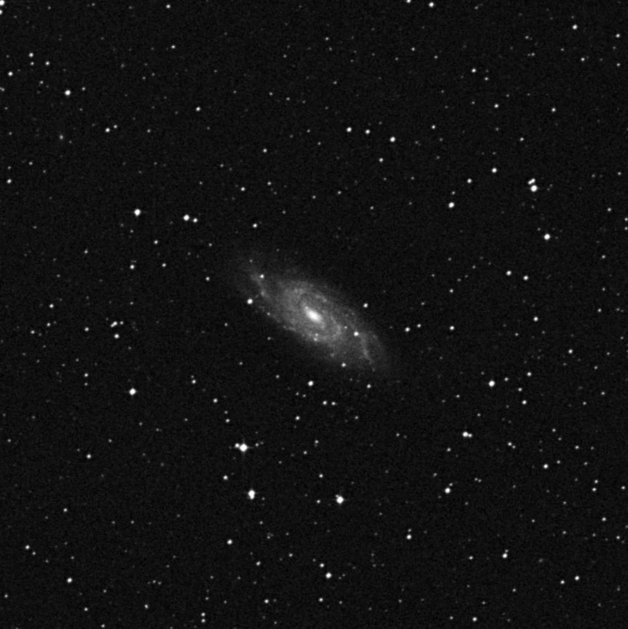 Imagem de referência (DSS2) de NGC 6118 — objeto ainda não capturado no observatório